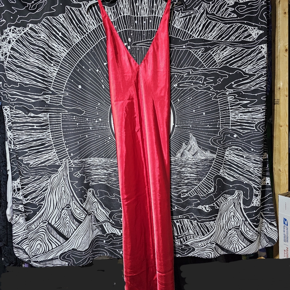 Frederick's of Hollywood long nightgown.